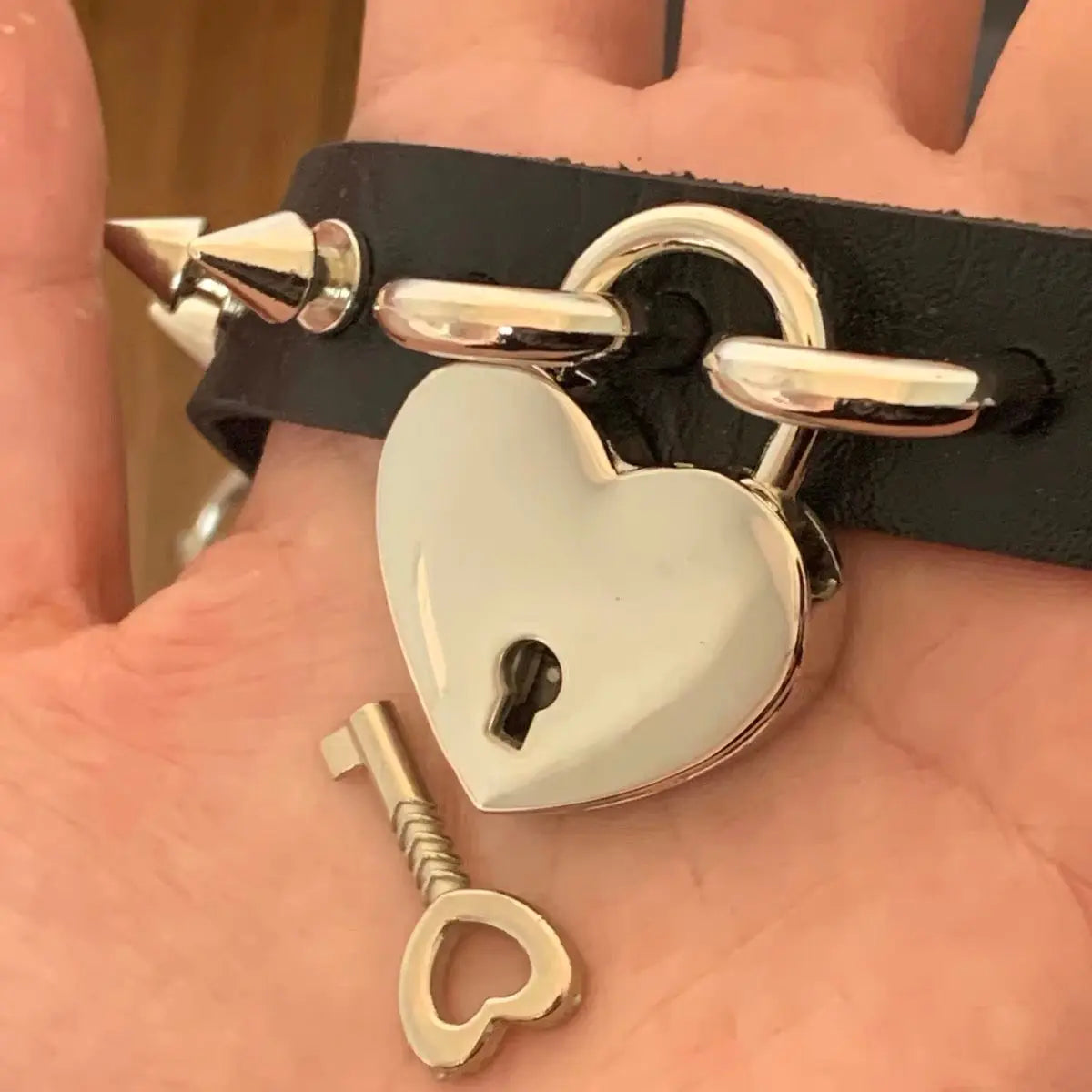 Gatekeeper Door & Key Heart Choker